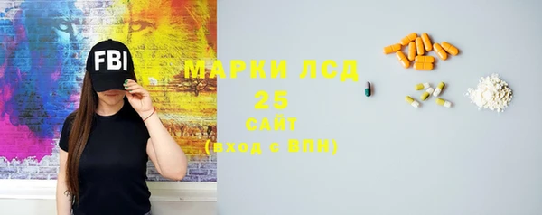 дмт Костерёво